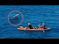 Whale jumps out of nowhere! HUGE Whale Surprises Girl on Kayak