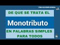 De qué se trata el monotributo en palabras simples