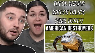 British Couple Reacts to American Animals That Would Destroy European Ecosystems