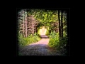The Flashbulb - Virtuous Cassette - Love As A Dark Hallway - 2011 [7/13]