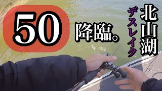 【神回】北山ダムにゴーマル降臨！！使用ルアーは最近流行りの、、、、