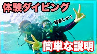 体験ダイビングの説明動画。divercozy沖縄の潜水士のコージーさん