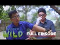 The Ecological Importance of Cobras and Millipedes (Full Episode) | Born to be Wild