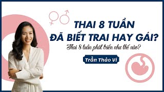 Thai 8 tuần như thế nào? Đã biết trai hay gái? TRAN THAO VI OFFICIAL