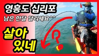 다운샷 광어낚시  우럭낚시  카약피싱 I영흥도 십리포에 개우럭이 살고 있어요 I Kayak Fishing Korea I 보트피싱 I 카약낚시 I 네이티브 HNBKF#184