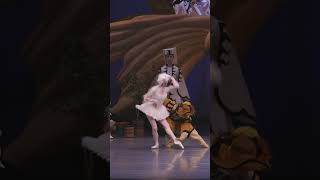 A Ballet Cat Pas de Deux #ballet #sleepingbeauty