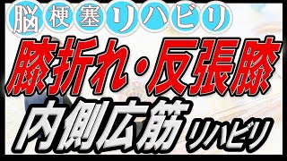 歩行改善！膝折れ、反張膝防止！内側広筋のリハビリ！