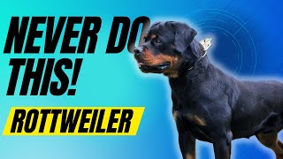 7 Things You Must NEVER Do To Your Rottweiler Dog