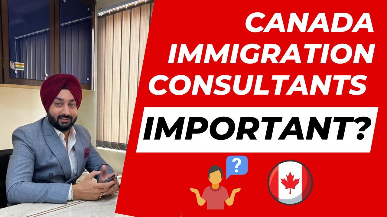 What Is The Importance Of An Immigration Consultant? Absolute ...