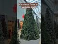 christmas trees at yorkdale mall in toronto