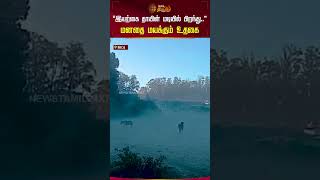 “இயற்கை தாயின் மடியில் பிறந்து..” மனதை மயக்கும் உதகை | #ooty | #viralvideo | #snowfall | #shorts