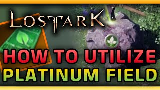 LOST ARK - How to utilize Platinum field tickets