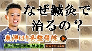 【鍼灸学生さん向け】なぜ鍼灸で改善できるのか？東洋医学専門 町田の鍼灸院