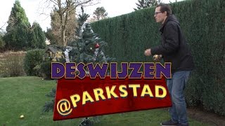 Deswijzen@Parkstad (79) De kerstbomen in Parkstad