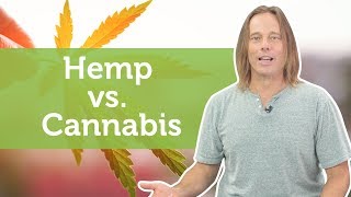 Hemp vs. Cannabis | What You Need to Know