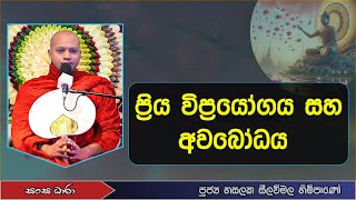 ප්‍රිය විප්‍රයෝගය සහ අවබෝධය (Ven.Hasalaka seelavimala thero) Sangha Dhara - සංඝ ධාරා