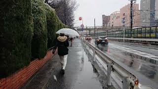 《’24.Mar.08》❄ #800subs. It's #snowing in #Tsudanuma, #Narashino city, #ChibaPrefecture now. ②