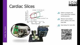 IonOptix MyoClamp System - Cardiac Slices