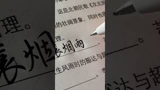 “一蓑烟雨任平生” 写字是一种生活 行楷 见字如面 写字✍ 练字