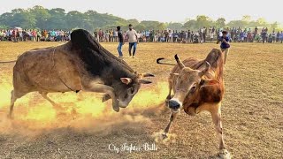 💥আজকের  চট্টগ্রামের সেরা লড়াই 💥⚠️,,,, ড্রাগন  বনাম লাল বিজলি,,,, ⚠️