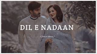 Dil E Nadan | Ft Sahir Ali Bagga Pakistani Sad Drama Song | Romantic Pakistqni Song