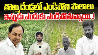 Farmers Facing Problems Under Congress Govt | KCR Vs Revanth Reddy Govt | News Line Telugu