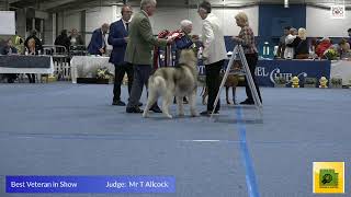 SKC 23 Day 4 Terrier, Working and Pastoral Groups and Best in Show