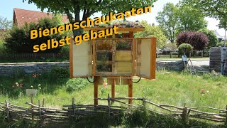 Bienenschaukasten selbst gebaut