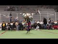 olcn christmas new year powwow 2022 tuesday men s chicken dance special...