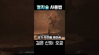 정지술은 신중하게 써라ㅣ검은 신화: 오공ㅣBlack Myth: Wukongㅣ