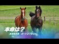 東海菊花賞【名古屋競馬2022予想】実力差拮抗のメンバーになり混戦