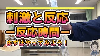 【解説】中２理科　刺激と反応ー反応時間ー