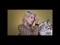 Jeffree Star being brutally honest for 50 seconds straight