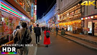 Japan - Tokyo Ueno Evening Walk • 4K HDR