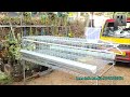 30 കോഴിക്കുള്ള ചിലവുകുറഞ്ഞ ഹൈടെക് കൂട്‌ hitech cage for 30hens without roof