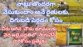 నాట్లు తొందరగా వేసుకుందాం, నీరు ఆగిన, చౌడు భూములకు, వెద జల్లె పద్ధతిలో సాగుచేసే రైతులకు ప్రత్యేకం