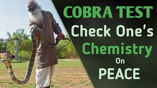 Cobra Test to Check One's Chemistry on Peace - Sathguru