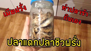 ปลาร้า ทำเองในต่างแดน | Sprat fish | วิธีทำปลาร้าปลาซิวฝรั่ง | KKD ครัวไทยหรั่ง