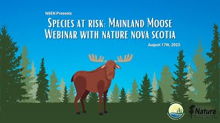 Webinar: Nature Nova Scotia on Mainland Moose