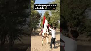 Tulu language for 8th schedule #tulunadu #tuluvas