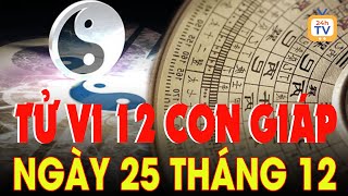 TỬ VI 12 CON GIÁP: Thứ Tư, Ngày 25 tháng 12 năm 2024 | Tử vi 24h | Tử vi hằng ngày