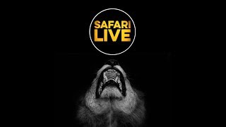 safariLIVE - Sunset Safari - April 7, 2018