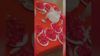 Rose Flower 🏵️🌹 |#rose#roseflower#flowers #videoshort#trending# #shortvedio#shorts#viral#viralvideo