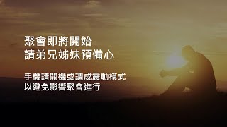 2022.6.4  生命建造聖經共讀 : 士師記全書  聖經 - 上帝門訓的眼光 (講員：莊信德牧師)