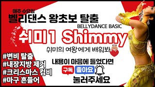 [벨리댄스 왕초보탈출 Basic 7] Bellydance Shimmy 베이직 쉬미+캐롤컴비! 벨리댄스의 꽂! 변비탈출, 내장지방 쾌속제거~!