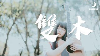 沈以誠 - 雙木『终遇见你 黄土是归途』【動態歌詞Lyrics】