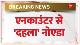 UP Encounter Update: एनकाउंटर से 'दहला' नोएडा | Breaking News | CM Yogi | Police |