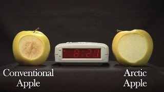 USDA Approves Genetically Modified Non-Browning Apple