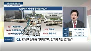 서울시 강남구 논현동 다세대주택 - 김원준