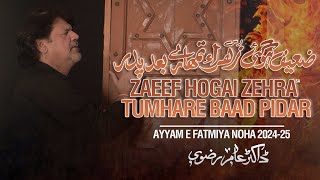 ZAEEF HOGAI ZEHRA TUMHARE BAAD PIDAR | Dr Amir Rizvi | Ayyam e Fatmiyah | Bibi Fatima Noha 2024-25